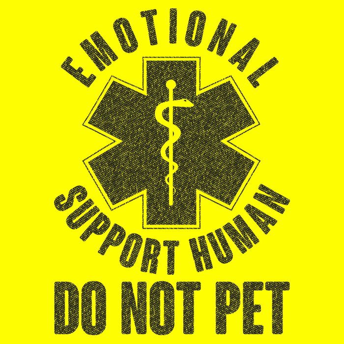 Funny Emotional Support Human Do Not Pet Kids T-Shirt