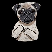 Fetch This Middle Finger Pug Coffee Mug
