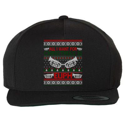 Funny Euph Ugly Christmas Sweater Gift Euphonium Wool Snapback Cap