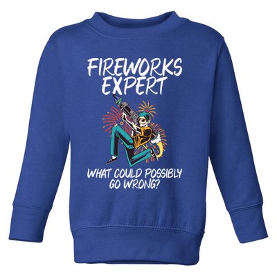 Fireworks Export What Could Possibly Go Wrong 4th Of July Cute Gift Toddler Sweatshirt