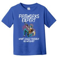 Fireworks Export What Could Possibly Go Wrong 4th Of July Cute Gift Toddler T-Shirt