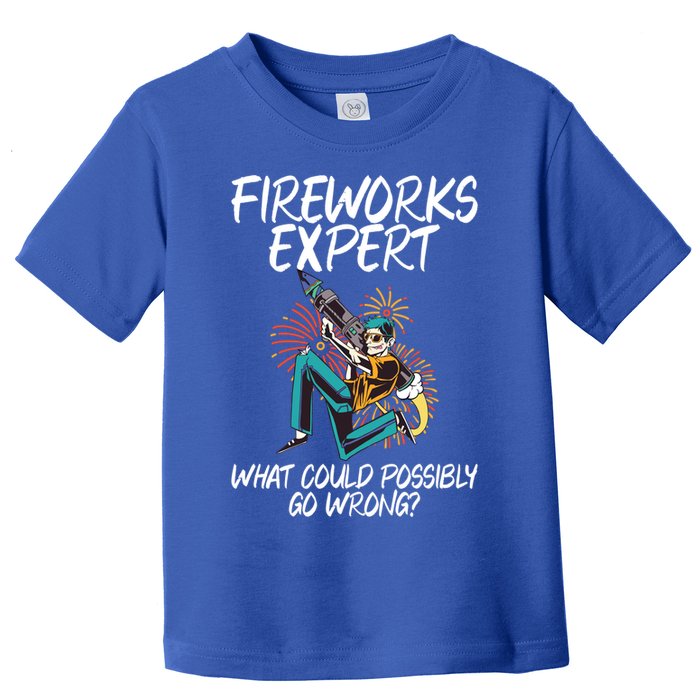Fireworks Export What Could Possibly Go Wrong 4th Of July Cute Gift Toddler T-Shirt