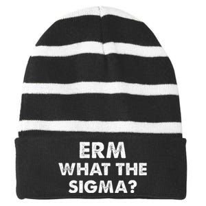 Funny Erm What The Sigma Striped Beanie with Solid Band