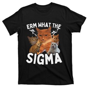 Funny Erm What The Sigma Ironic Meme Brainrot Quote T-Shirt