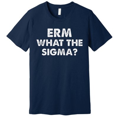 Funny Erm What The Sigma Meme Premium T-Shirt