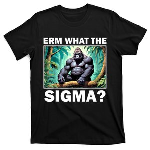 Funny Erm What The Sigma ? Ironic Meme Brainrot Quote T-Shirt