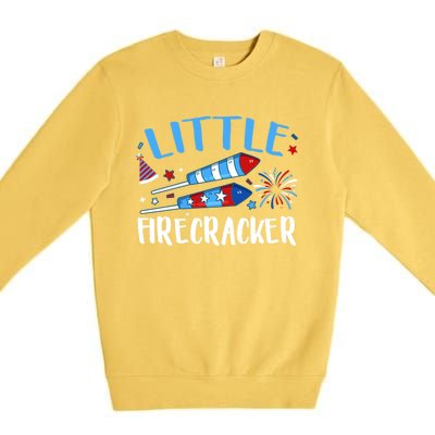 Fireworks Firecrackers 4th Of July Birthday Decorations Cool Gift Premium Crewneck Sweatshirt