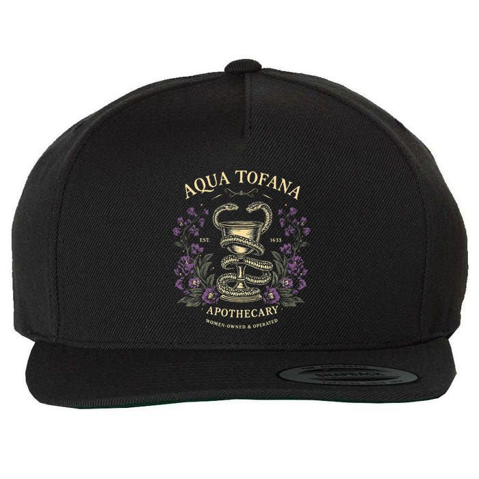 Funny Feminist Aqua Tofana Apothecary Wool Snapback Cap