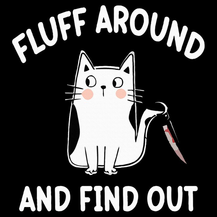 Funny Fluff Around And Find Out Sarcasm Hoodie