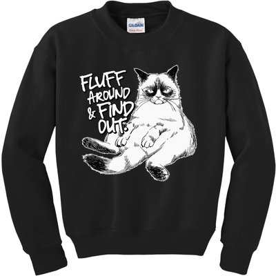 Funny Fluff Around and Find Out, Grumpy Kitty, Sarcastic Cat Kids Sweatshirt