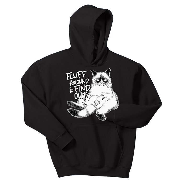 Funny Fluff Around and Find Out, Grumpy Kitty, Sarcastic Cat Kids Hoodie