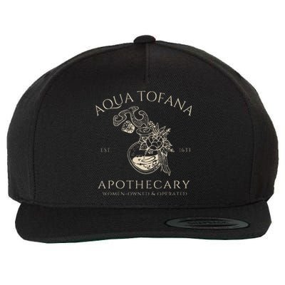 Funny Feminist Aqua Tofana Apothecary Vintage = Wool Snapback Cap