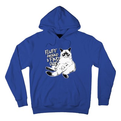 Funny Fluff Around and Find Out Grumpy Kitty Sarcastic Cat Hoodie