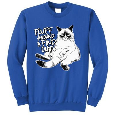 Funny Fluff Around and Find Out Grumpy Kitty Sarcastic Cat Sweatshirt