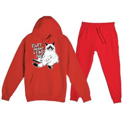 Funny Fluff Around and Find Out Grumpy Kitty Sarcastic Cat Premium Hooded Sweatsuit Set