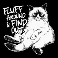 Funny Fluff Around And Find Out Grumpy Kitty Sarcastic Cat Flat Bill Trucker Hat