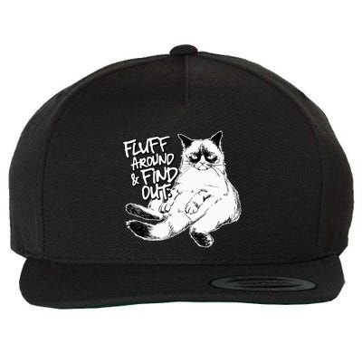 Funny Fluff Around And Find Out Grumpy Kitty Sarcastic Cat Wool Snapback Cap