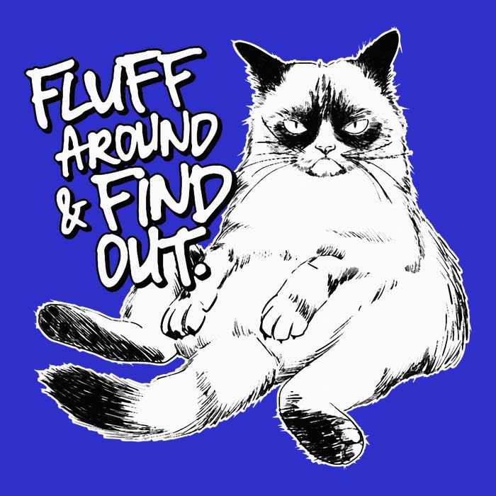 Funny Fluff Around And Find Out Grumpy Kitty Sarcastic Cat Baby Bodysuit