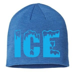 Funny Fire And Ice Costume Halloween Family Matching Funny Sustainable Beanie