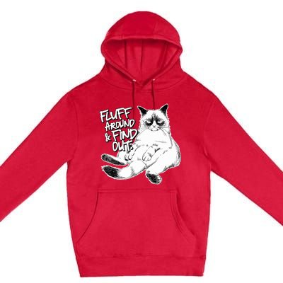 Funny Fluff Around And Find Out, Grumpy Kitty, Sarcastic Cat Premium Pullover Hoodie