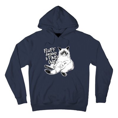 Funny Fluff Around And Find Out, Grumpy Kitty, Sarcastic Cat Hoodie