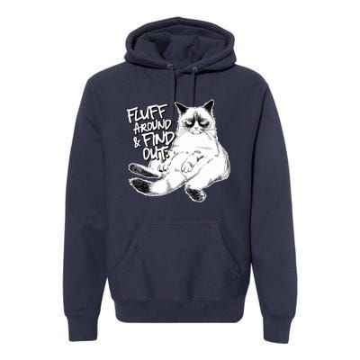 Funny Fluff Around And Find Out, Grumpy Kitty, Sarcastic Cat Premium Hoodie