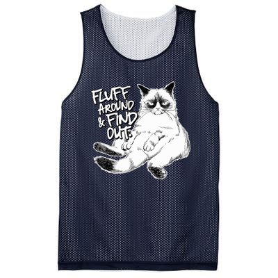 Funny Fluff Around And Find Out, Grumpy Kitty, Sarcastic Cat Mesh Reversible Basketball Jersey Tank