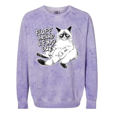 Funny Fluff Around And Find Out, Grumpy Kitty, Sarcastic Cat Colorblast Crewneck Sweatshirt