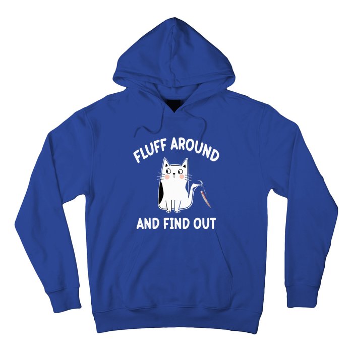 Funny Fluff Around And Find Out Funny Cat Hoodie