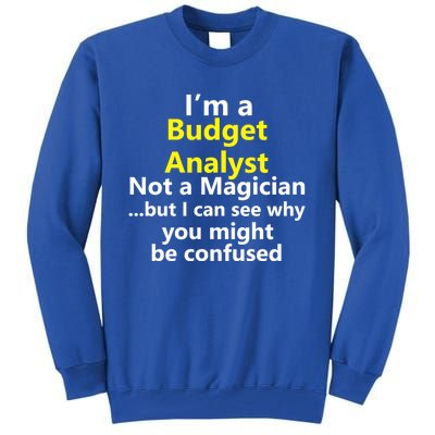 Funny Finance Analyst Job Career Budget Banking Accountant Great Gift Tall Sweatshirt