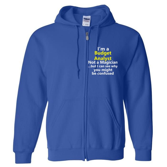 Funny Finance Analyst Job Career Budget Banking Accountant Great Gift Full Zip Hoodie