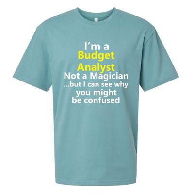 Funny Finance Analyst Job Career Budget Banking Accountant Great Gift Sueded Cloud Jersey T-Shirt