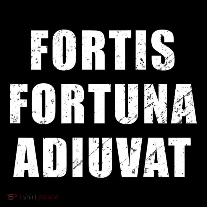 Fortis Fortuna Adiuvat 16 in Basic Backpack