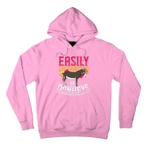 Funny Farm Animal Lover Gift Donkey Hoodie