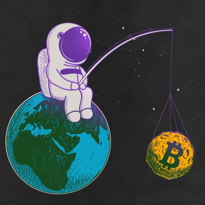 Funny Fishing Bitcoin Space Astronaut 7 Panel Mesh Trucker Snapback Hat