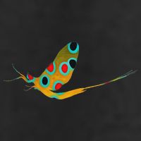 Fly Fishing Brook Trout Mayfly Graphic Cool Comfort Performance Bucket Hat