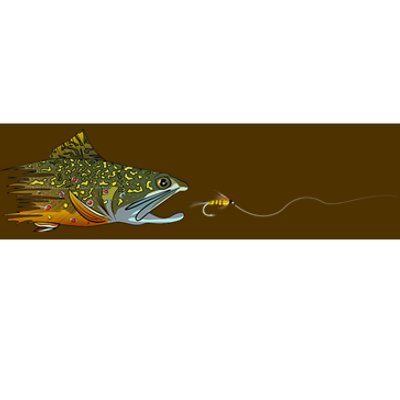 Fly Fishing Brook Trout Dry Fly Tying Fisherman Bumper Sticker