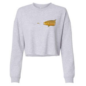 Fly Fishing Brown Trout Dry Fly Tying Cropped Pullover Crew