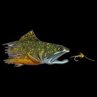 Fly Fishing Brook Trout Dry Fly Tying Fisher Gift City Backpack