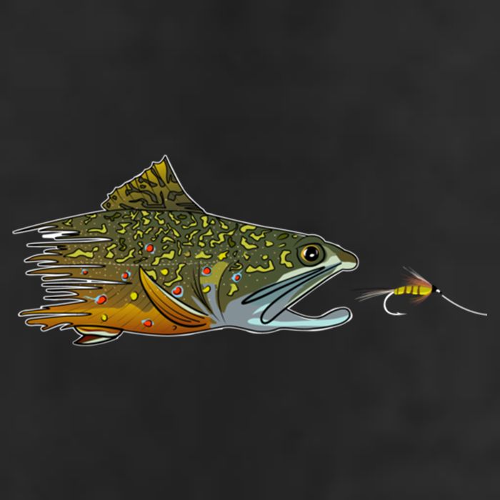 Fly Fishing Brook Trout Dry Fly Tying Fisher Gift 11oz C Handle Ceramic Mug