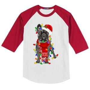 Funny French Bulldog Dog Tree Christmas Lights Xmas Pajama Kids Colorblock Raglan Jersey