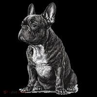 Funny French Bulldog Frenchie Black And White T-Shirt