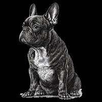 Funny French Bulldog Frenchie Black And White Premium T-Shirt