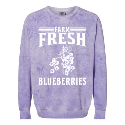 Farm Fresh Blueberries Gift Blueberry Farmer Gift Colorblast Crewneck Sweatshirt