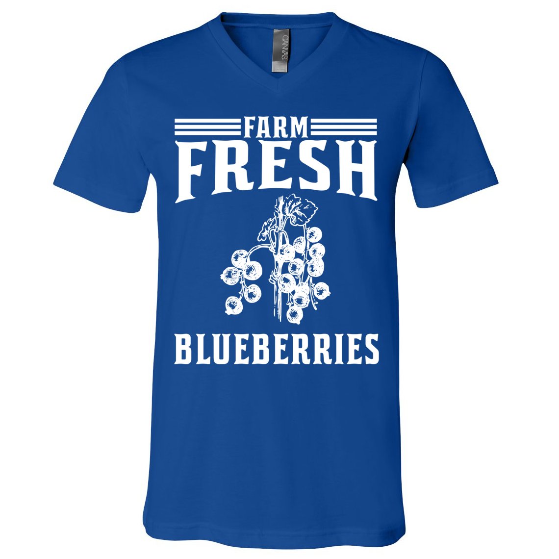 Farm Fresh Blueberries Gift Blueberry Farmer Gift V-Neck T-Shirt