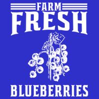 Farm Fresh Blueberries Gift Blueberry Farmer Gift Womens Tank Top
