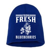 Farm Fresh Blueberries Gift Blueberry Farmer Gift Short Acrylic Beanie