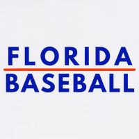 Florida Fl Baseball Fans Women's Crop Top Tee