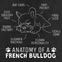 Funny Frenchie Clothes Gift Anatomy Of A French Bulldog 11oz C Handle Ceramic Mug