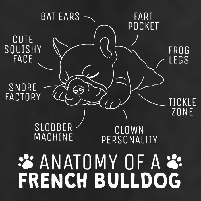 Funny Frenchie Clothes Gift Anatomy Of A French Bulldog 11oz C Handle Ceramic Mug
